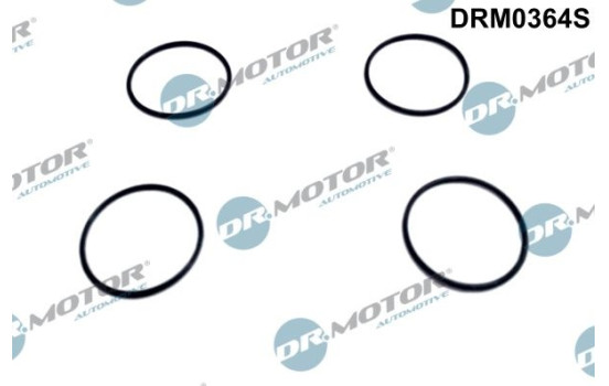 Gasket, injector holder