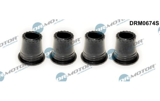 Gasket, injector holder