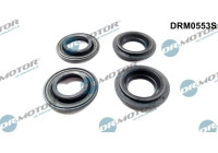 Gasket, injector holder