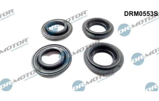 Gasket, injector holder