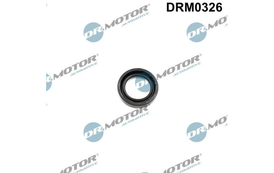 Gasket, injector holder