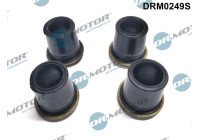 Gasket, injector holder