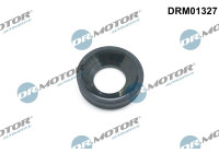 Gasket, Injector
