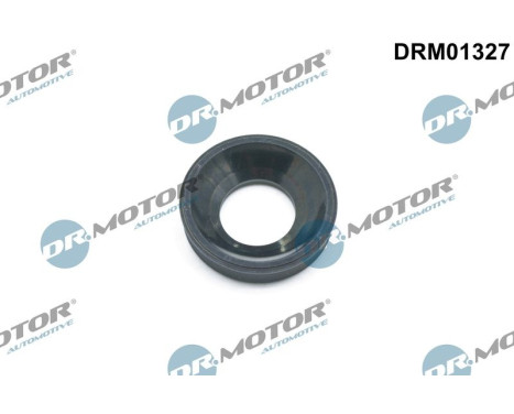Gasket, Injector