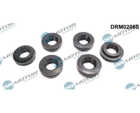 Gasket, Injector