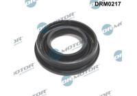 Gasket, Injector