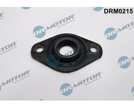 Gasket, Injector