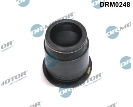 Gasket, Injector