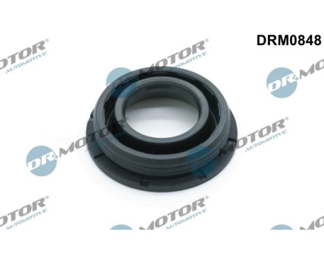 Gasket, Injector