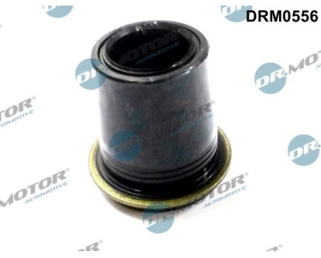 Gasket, Injector