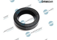 Gasket, Injector