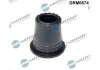 Gasket, Injector