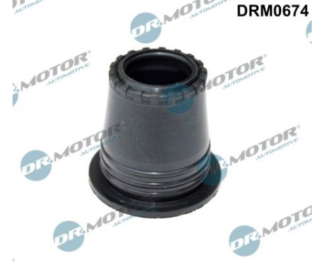 Gasket, Injector