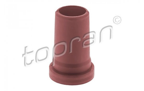 Holder, injector