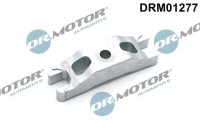Holder, injector