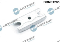 Holder, injector