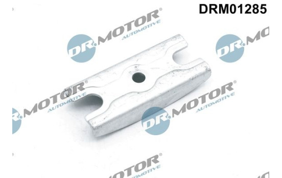 Holder, injector