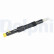 Injector/Atomizer