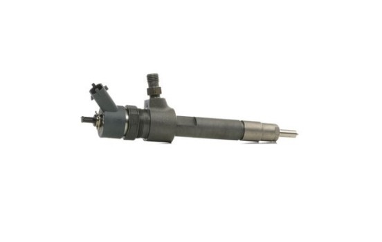 Injector Bosch 0445110165