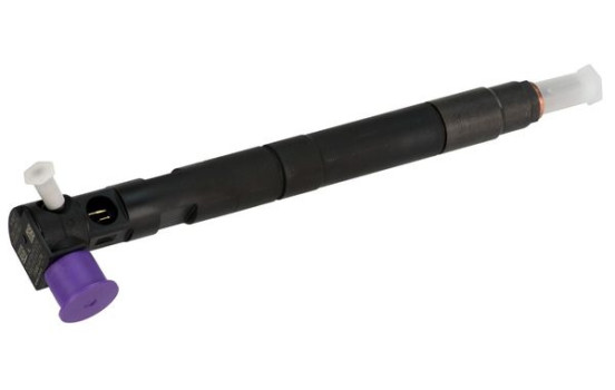 Injector Delphi 28565335