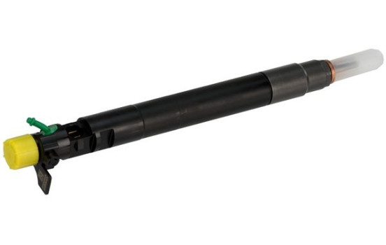 Injector Delphi R00101DP
