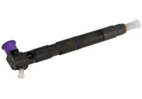 Injector Delphi R00203D