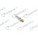 REMAN INJ CR DELPHI BEBJ1D03001, Thumbnail 2