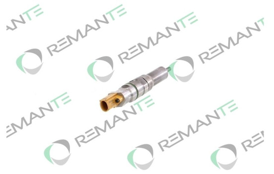 REMAN INJ CR DELPHI BEBJ1D03001, Image 3