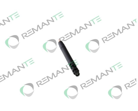 REMAN INJ CR DELPHI R00101D, Image 2