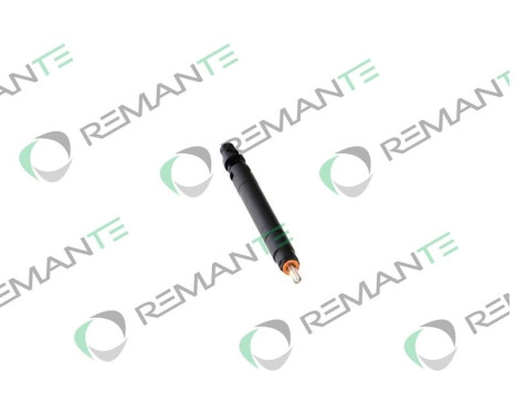 REMAN INJ CR DELPHI R00101D, Image 5