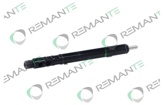 REMAN INJ CR DELPHI R01001A, Image 3