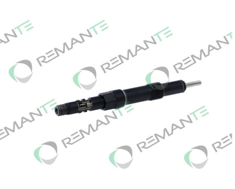 REMAN INJ CR DELPHI R01001D, Image 3