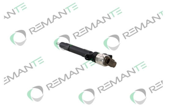 REMAN INJ CR DENSO 295050-089