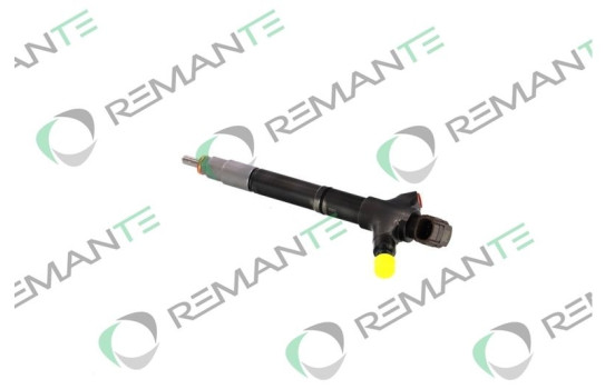 REMAN INJ CR DENSO 2959000-04