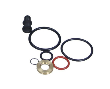 Repair kit, pump-injector unit