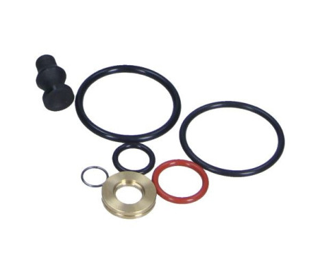 Repair kit, pump-injector unit, Image 2