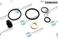 Repair kit, pump-injector unit