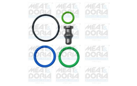 Repair Kit, pump-nozzle unit