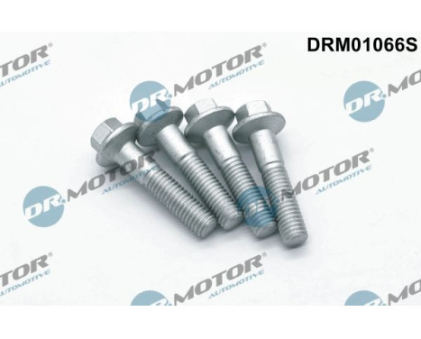 Screw, injection nozzle holder
