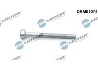 Screw, injection nozzle holder