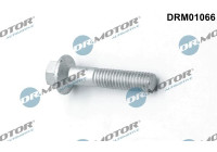 Screw, injection nozzle holder
