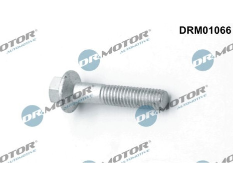 Screw, injection nozzle holder