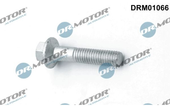 Screw, injection nozzle holder