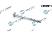Screw, injection nozzle holder