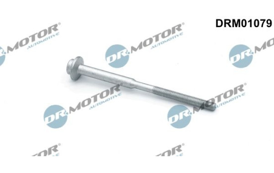 Screw, injection nozzle holder