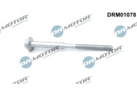 Screw, injection nozzle holder