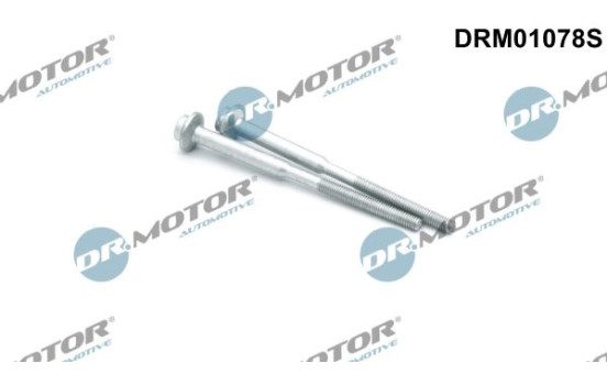 Screw, injection nozzle holder