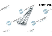 Screw, injection nozzle holder