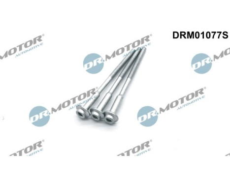 Screw, injection nozzle holder