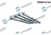 Screw, injection nozzle holder